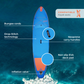 WattSUP Espadon 11'8" Oppustelig SUP – 355 cm