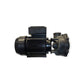 Waterway Executive 56-ramme Spapumpe 2-hastighed 3,5 hk