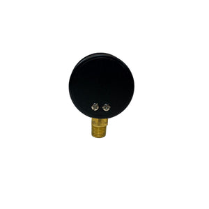 Manometer Sandfilter Standard