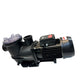 Pump Certikin Aquaspeed 3,0 hk (2,2 kW) 3-fas (2)