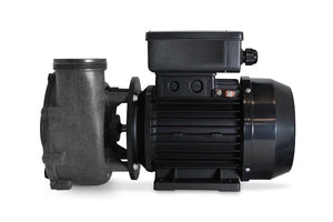 Pumpe Gecko FLO-MASTER XP2E CE, 2HK, 2-trins